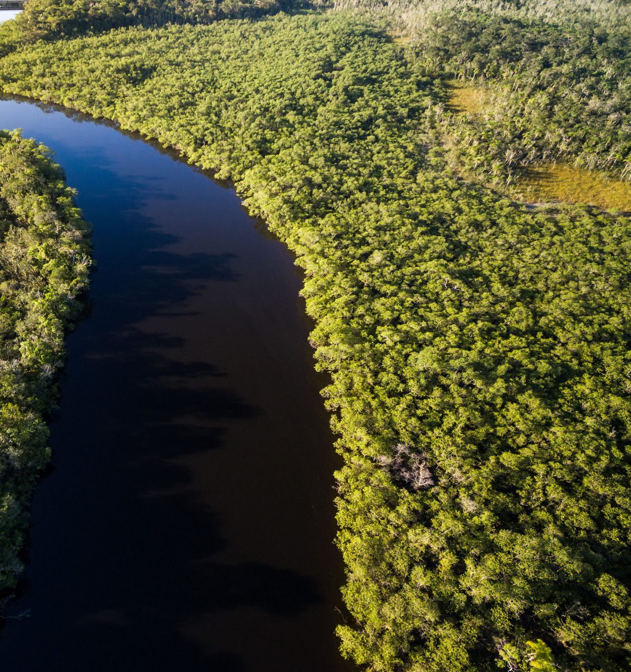 Aerial View of Amazon Rainforest, Brazil